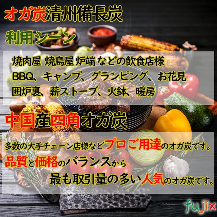 清州備長炭 オガ炭 40kg（10kg×4箱） 成形炭 おが炭 オガ備長炭 防災用 燃料 火鉢 BBQ 飲食店 焼肉 業務用